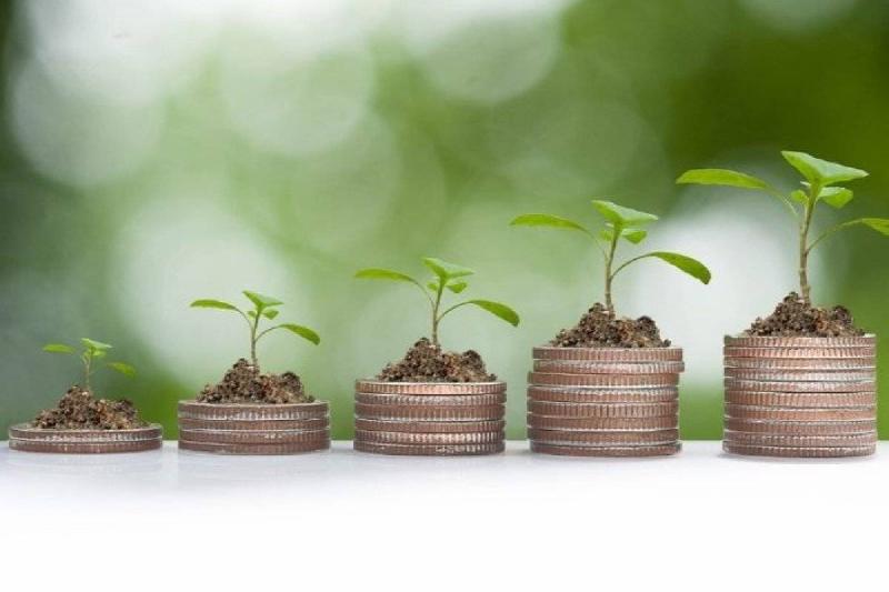 Fünf ansteigende Münzstapel mit kleinen grünen Setzlingen darauf, Sinnbild für wachsende Investitionen