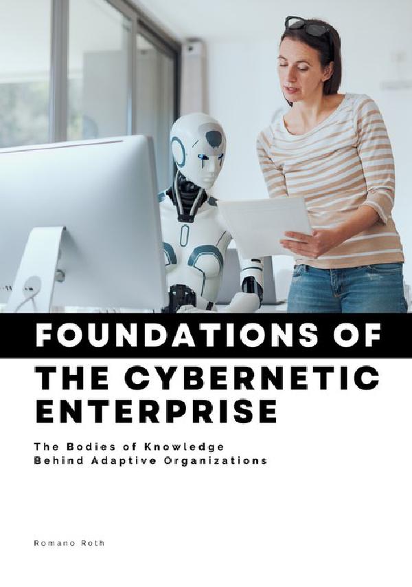 Foundations of The Cybernetic Enterprise