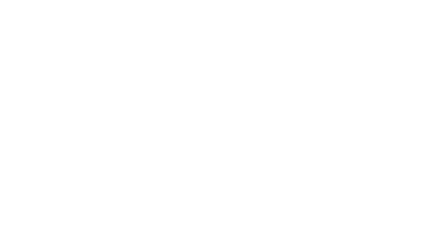 BILANZ